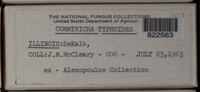 Image Associated With the Occurence
